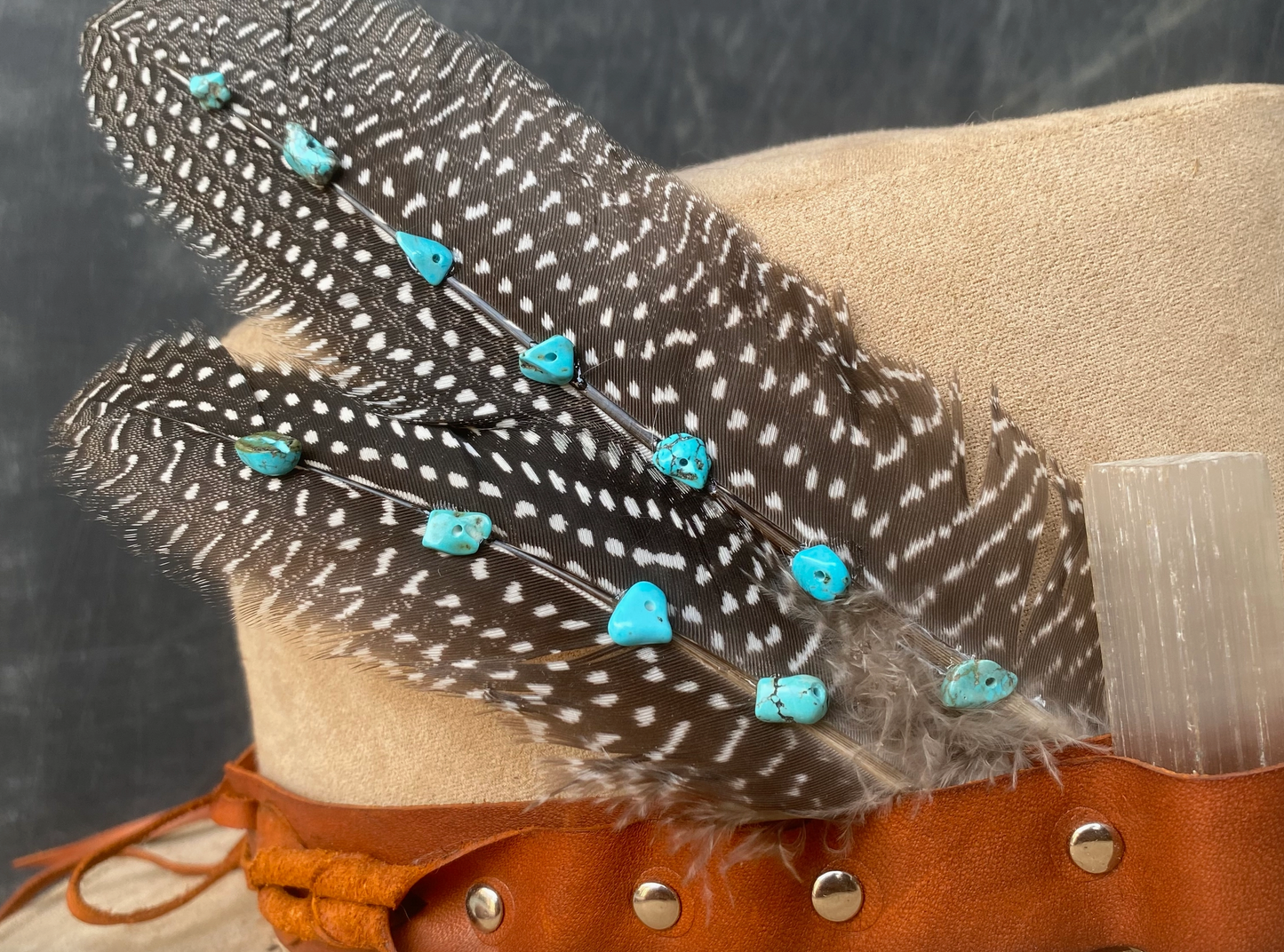 Hat Feathers