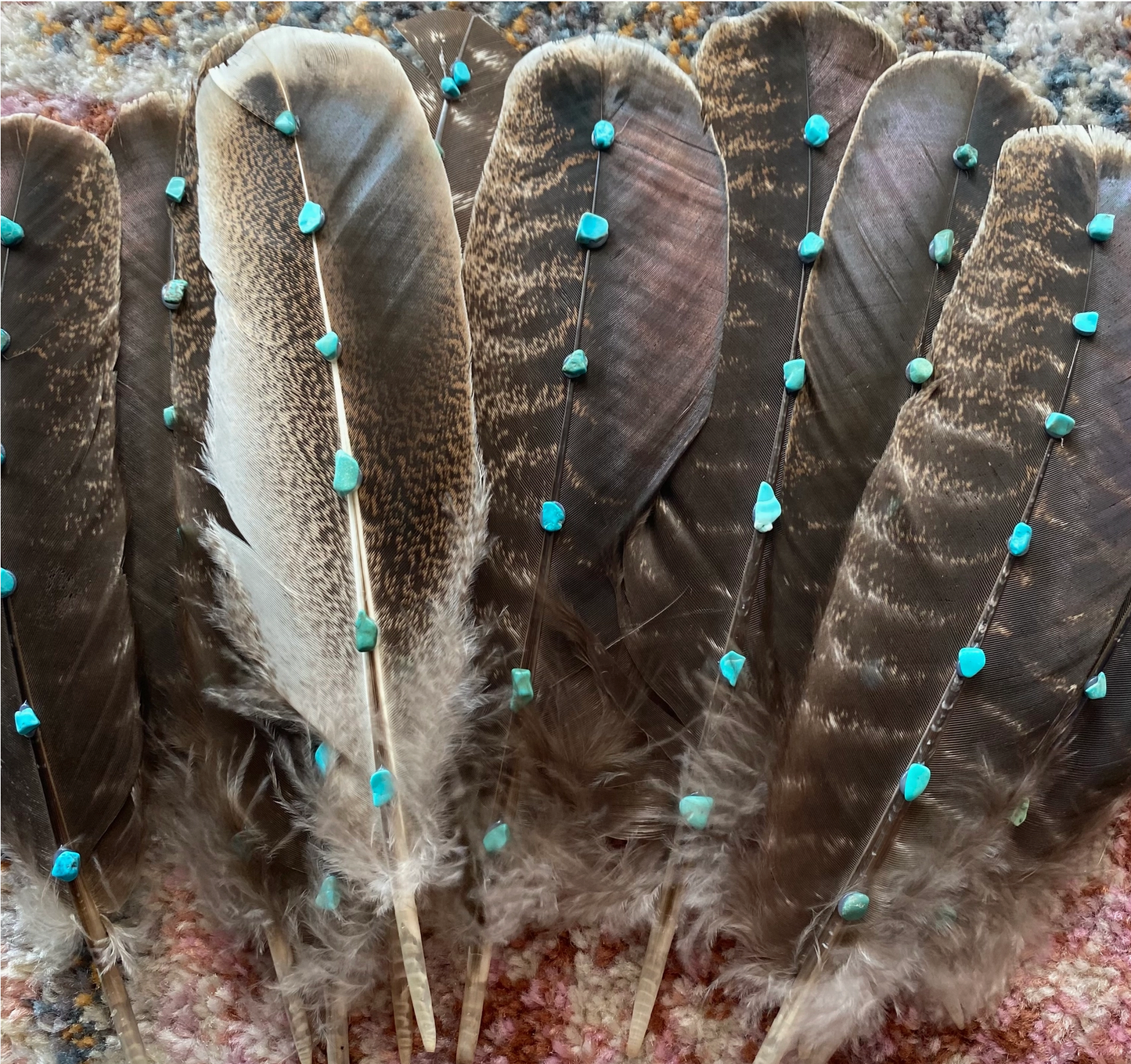 Hat Feathers